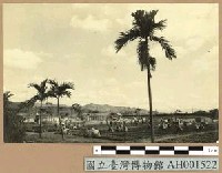 台灣日俘在農園工作藏品圖，第1張